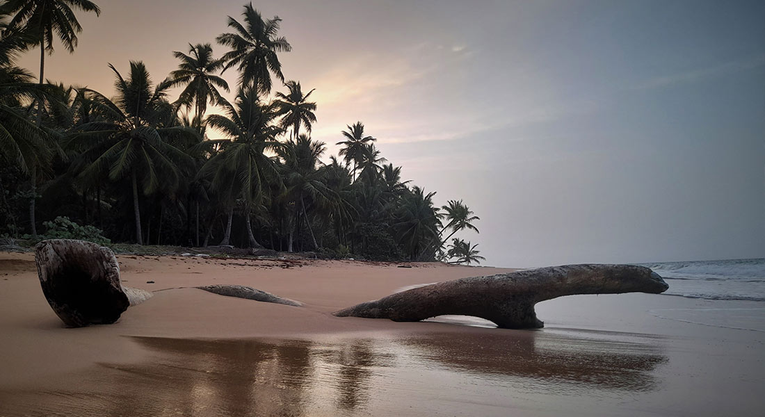 Samaná Biodiverso