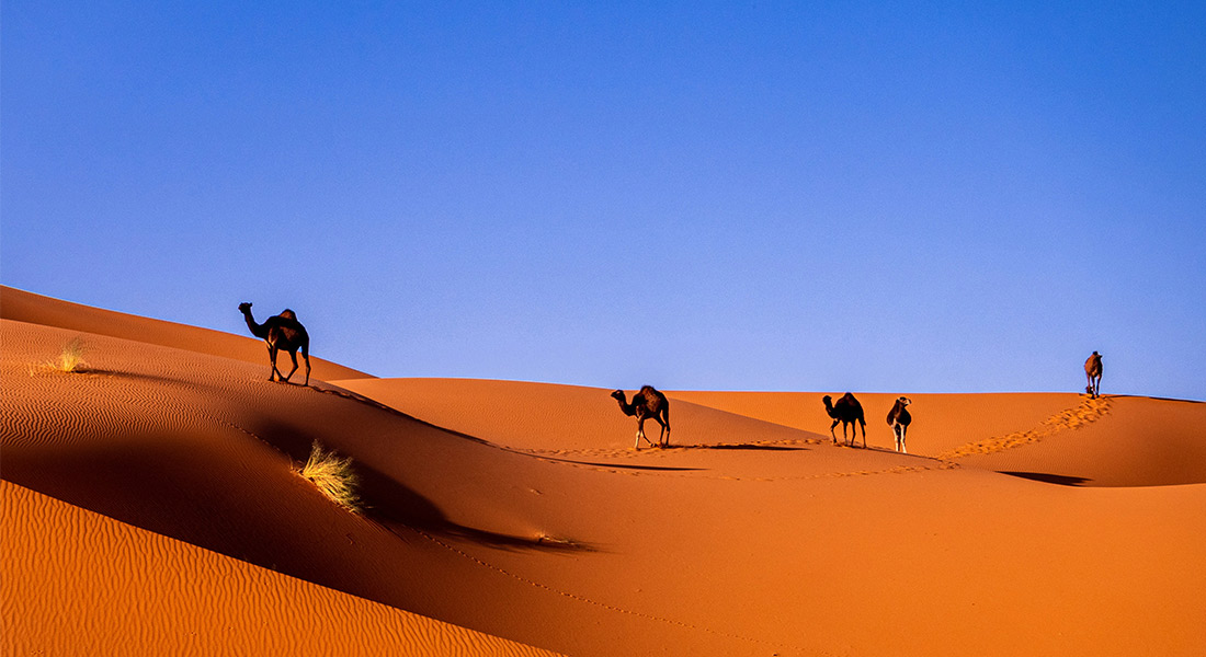 soltour-marruecos