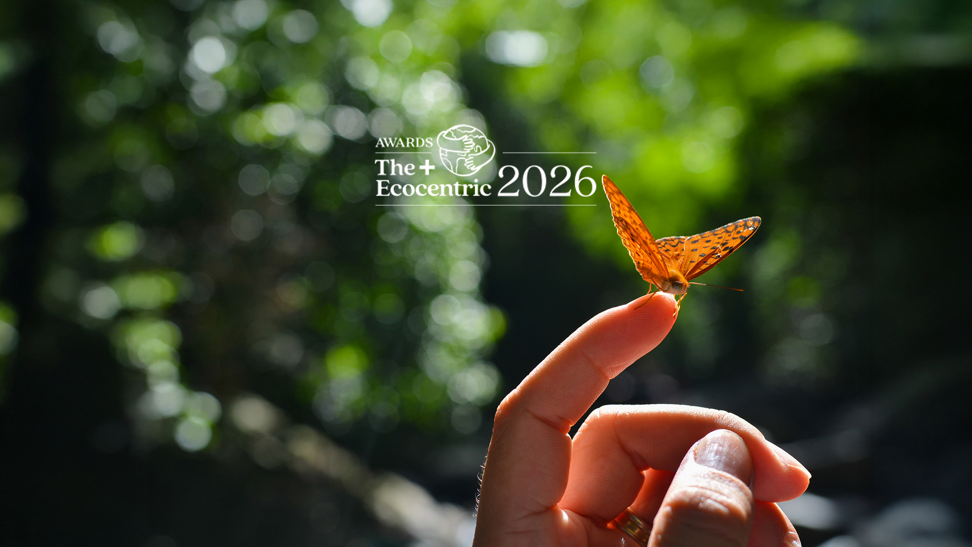 ecoistas-premios-2026